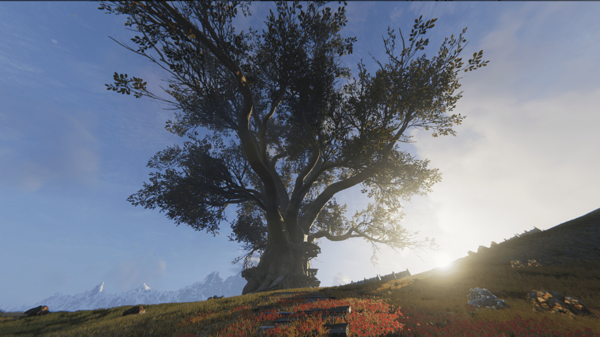 An image from Once Human showing one of the Great Trees in the Onyx Tundra.